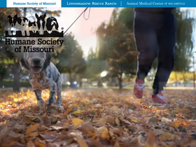 'hsmo.org' screenshot