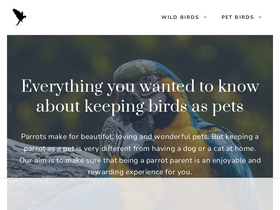'beautyofbirds.com' screenshot