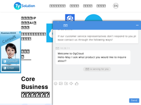 tysolution.com