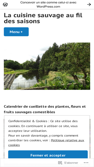 cuisinesauvagesaisons.wordpress.com