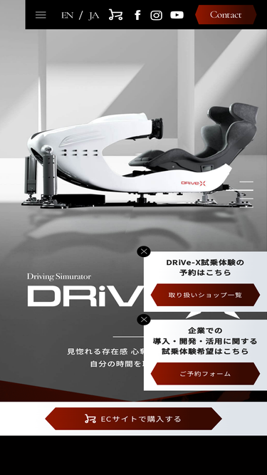 drivex-sim.com