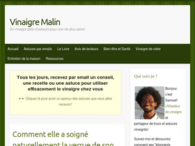 vinaigremalin.fr