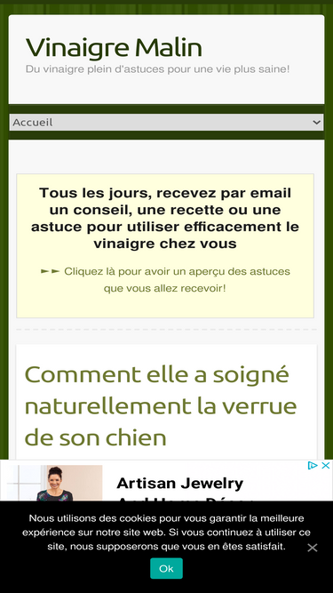 vinaigremalin.fr