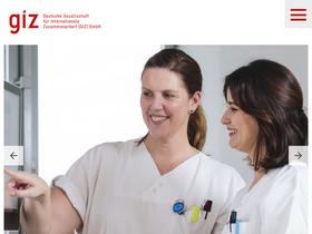 'giz.de' screenshot