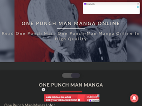 'one-punch.net' screenshot