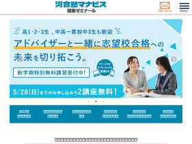 'manavis-s.com' screenshot