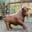 john.hemming.name