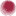 bardoptical.com