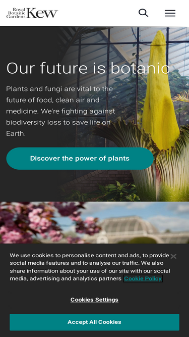 kew.org