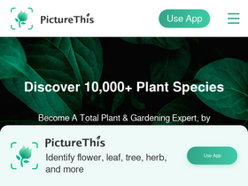 'picturethisai.com' screenshot