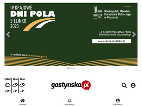 'gostynska.pl' screenshot
