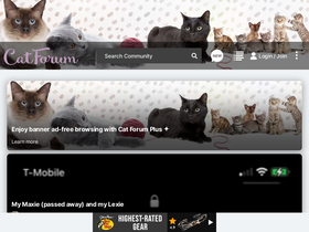 'catforum.com' screenshot