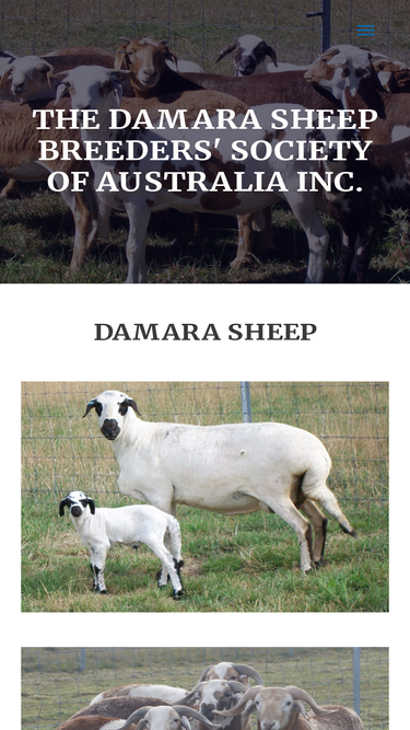 damaras.com.au