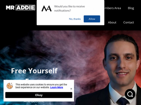 'mraddie.com' screenshot