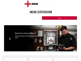 'niceiconline.com' screenshot