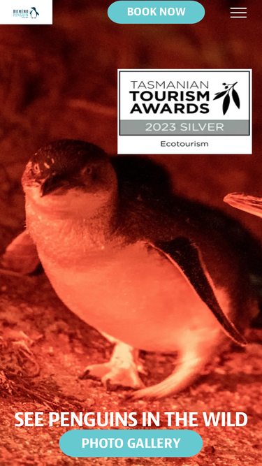 bichenopenguintours.com.au