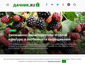 'da4nik.ru' screenshot