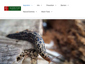 'slughelp.com' screenshot