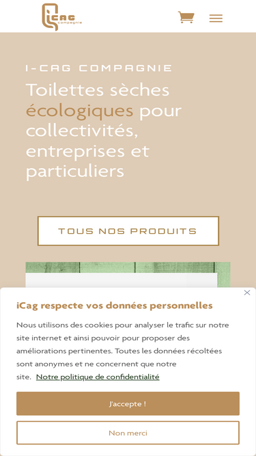 i-cag.net