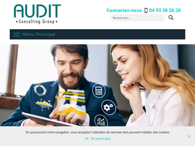 audit-consulting-group.com