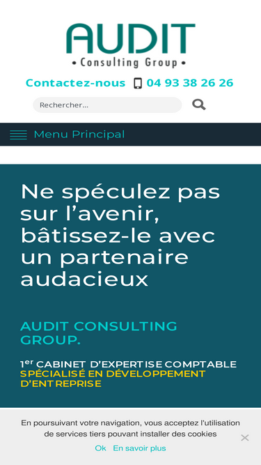audit-consulting-group.com