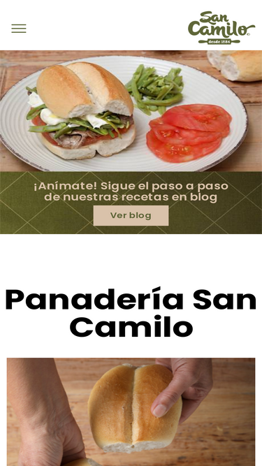 sancamilo.com