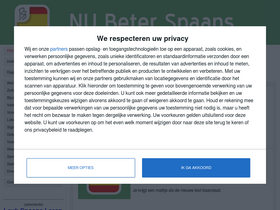 'nubeterspaans.nl' screenshot