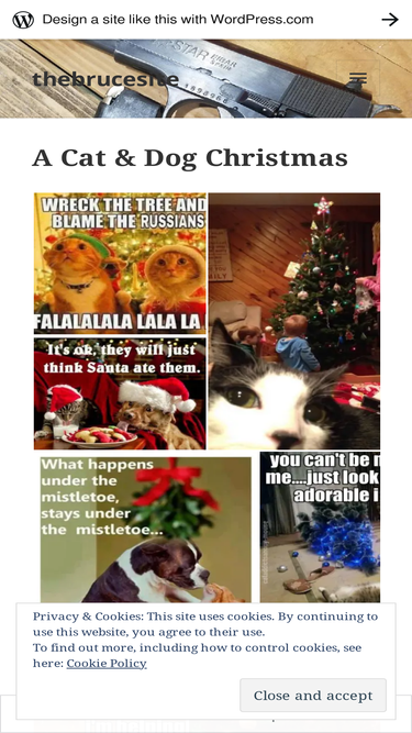 thebrucesite.wordpress.com