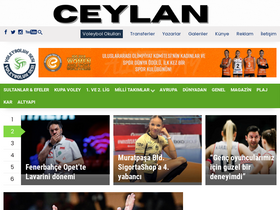 'voleybolunsesi.com' screenshot