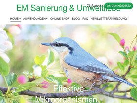 em-sanierung.de