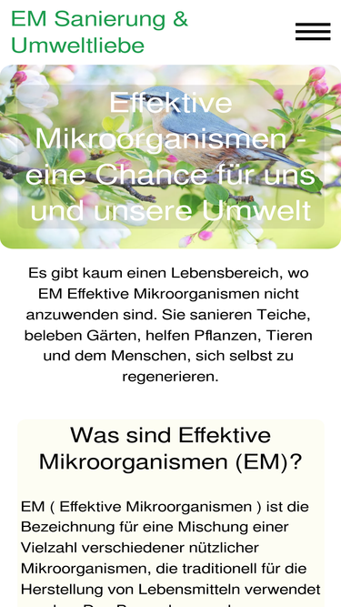em-sanierung.de