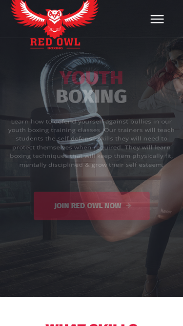 redowlboxing.com