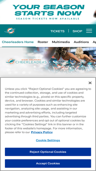 dolphinscheerleaders.com