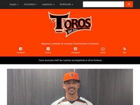 torosdeleste.com