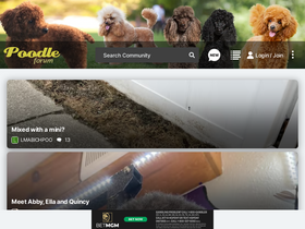'poodleforum.com' screenshot