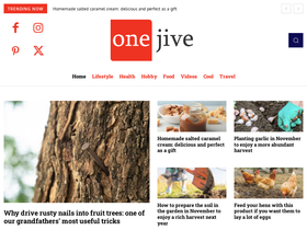 onejive.com