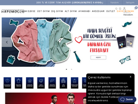 'hatemoglu.com' screenshot