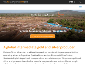 fortunasilver.com