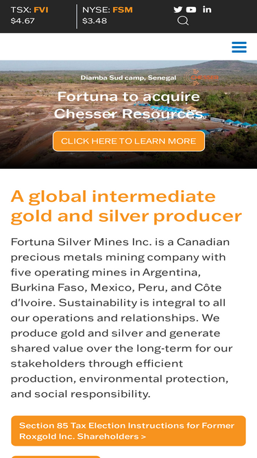 fortunasilver.com