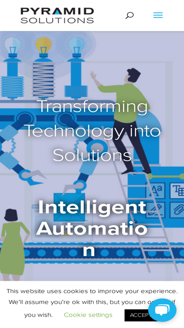 pyramidsolutions.com