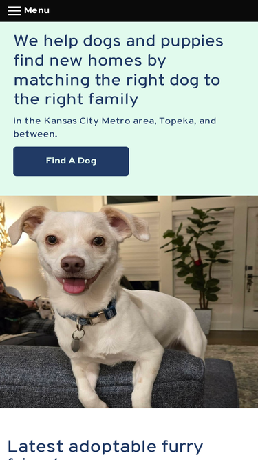 pawsitivetailskc.org