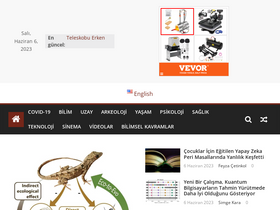 'bizsiziz.com' screenshot