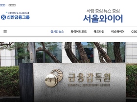 'seoulwire.com' screenshot