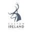 customireland.com