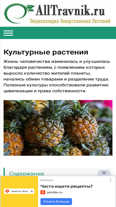 alltravnik.ru