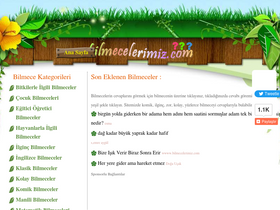 'bilmecelerimiz.com' screenshot