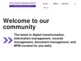 'theecmconsultant.com' screenshot