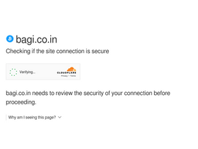 'bagi.co.in' screenshot