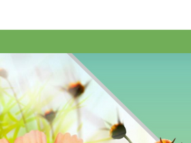 'surveillance-video.com' screenshot