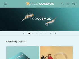 picocosmos.com homepage screenshot